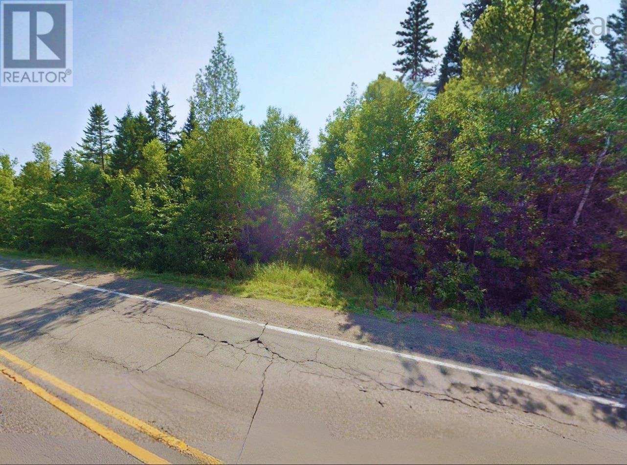 Lot 17 Highway 302, Maccan, Nova Scotia  B0L 1B0 - Photo 5 - 202619956
