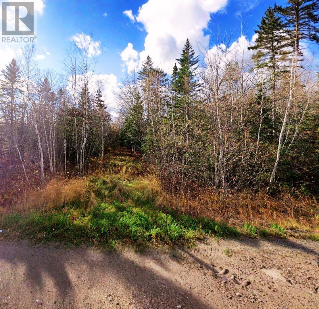 Lot 17 Highway 302, Maccan, Nova Scotia  B0L 1B0 - Photo 6 - 202619956