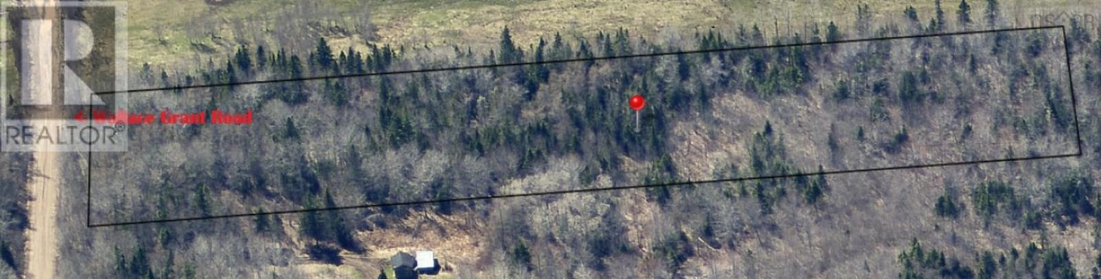 Lot-1 Wallace Grant Road, Wallace Grant, Nova Scotia  B0K 1E0 - Photo 2 - 202619990