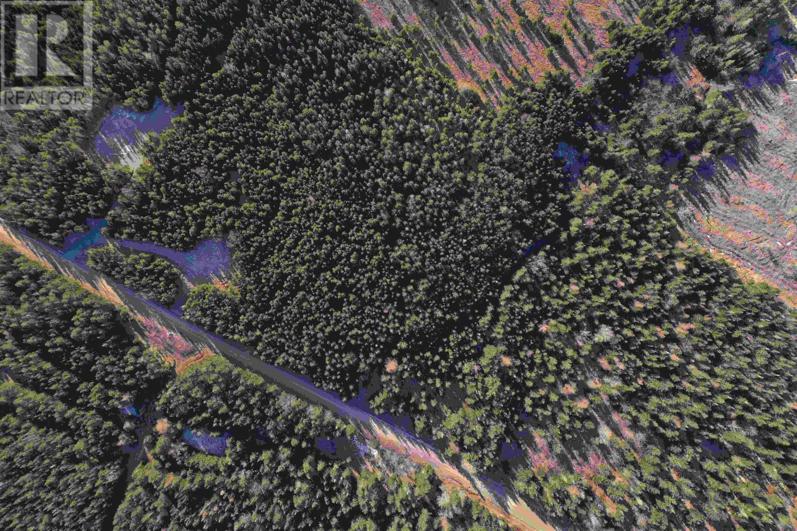 Old Monastery Road, North Riverside, Nova Scotia  B0H 1G0 - Photo 13 - 202619993