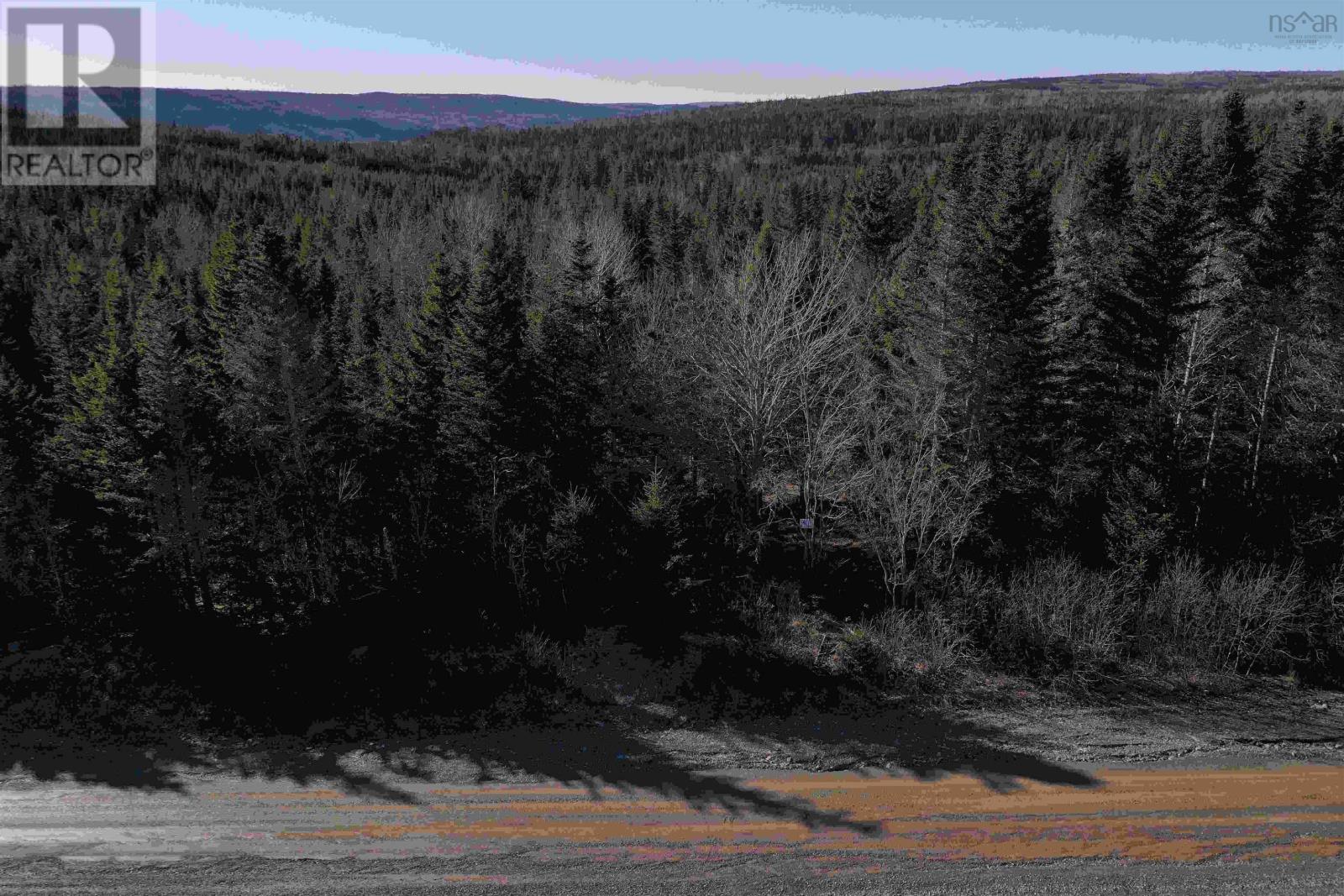 Old Monastery Road, North Riverside, Nova Scotia  B0H 1G0 - Photo 6 - 202619993