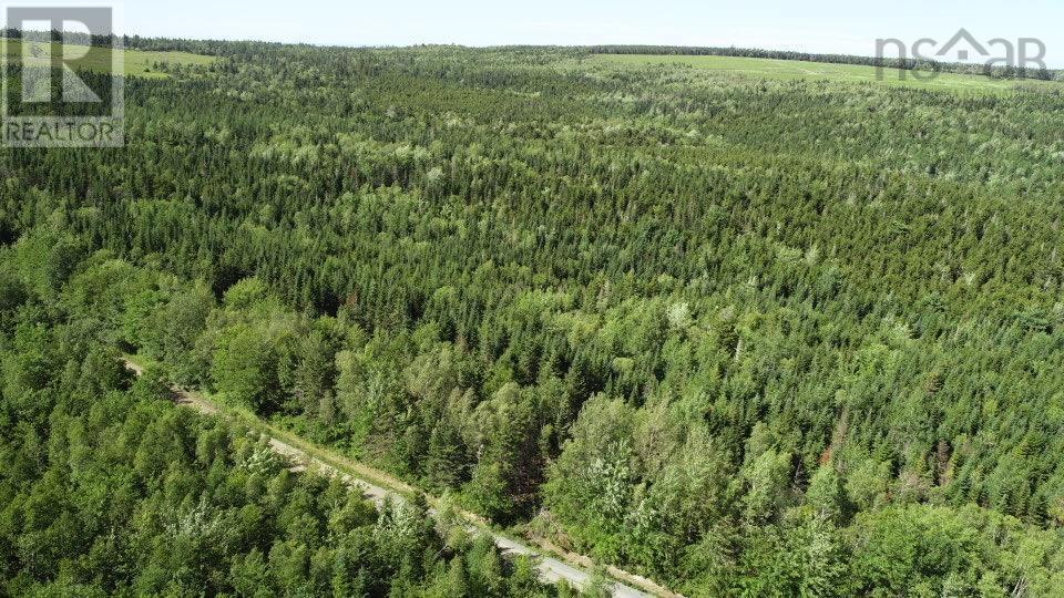 Lot 2 Wilson Road, Upper Rawdon, Nova Scotia  B0N 2N0 - Photo 10 - 202620020