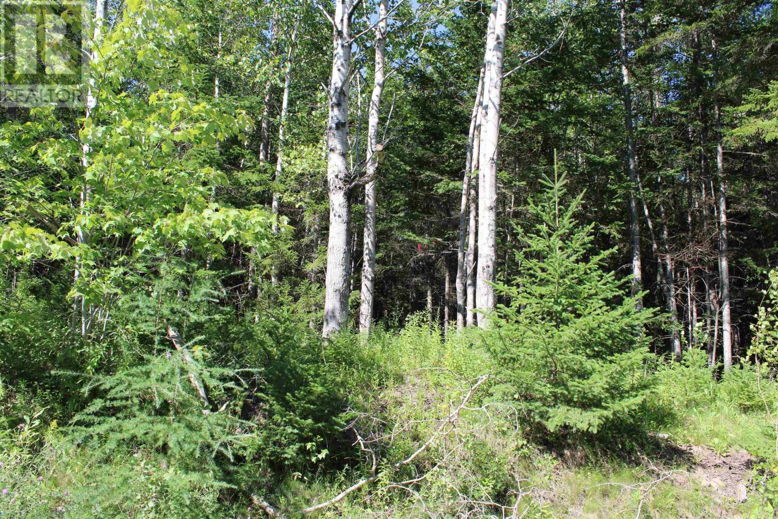 Lot 2 Wilson Road, Upper Rawdon, Nova Scotia  B0N 2N0 - Photo 15 - 202620020