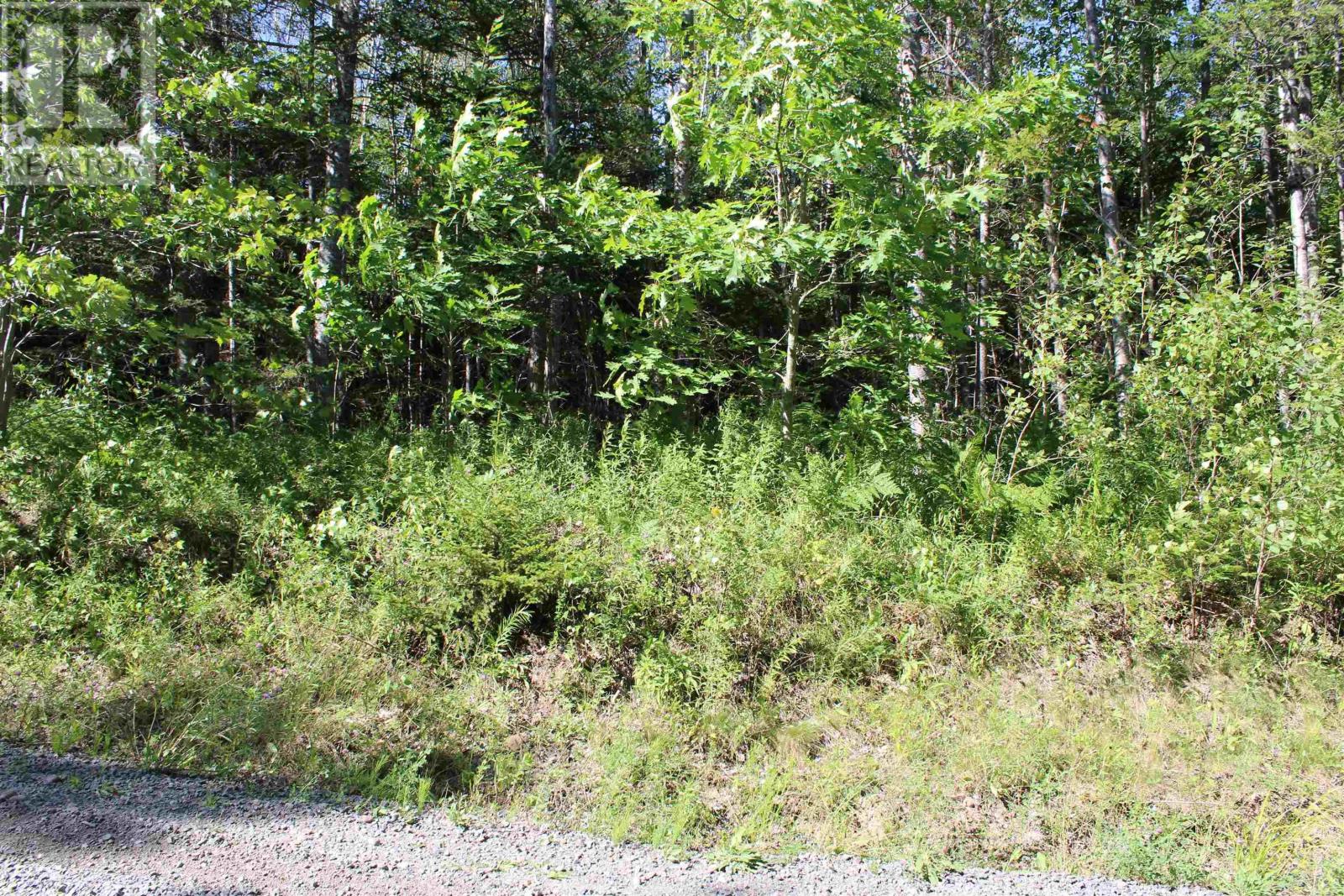 Lot 2 Wilson Road, Upper Rawdon, Nova Scotia  B0N 2N0 - Photo 16 - 202620020