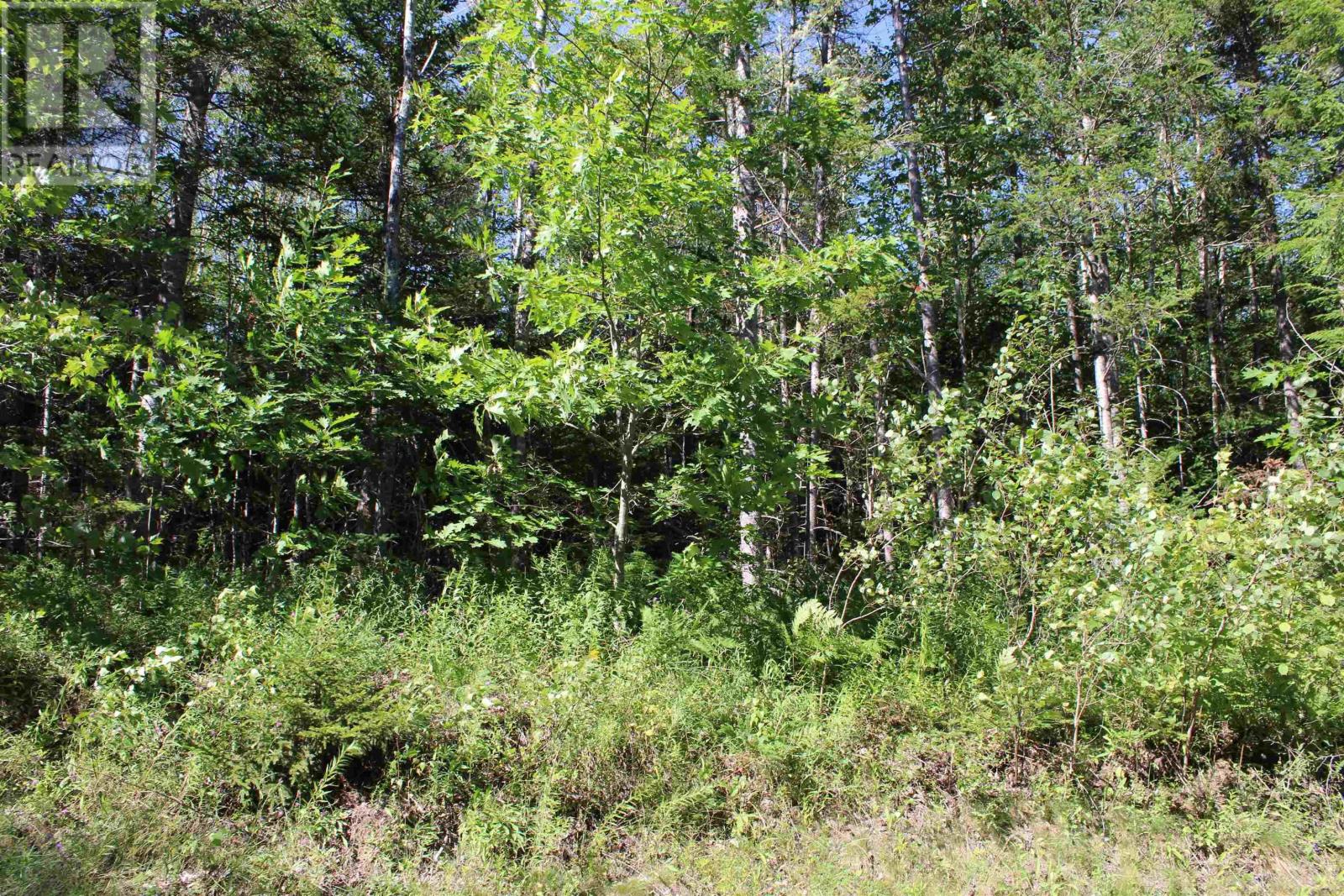 Lot 2 Wilson Road, Upper Rawdon, Nova Scotia  B0N 2N0 - Photo 24 - 202620020