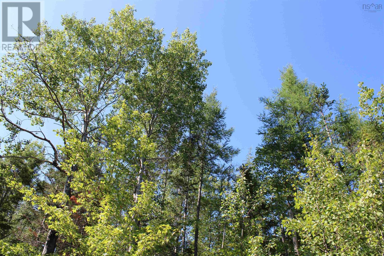 Lot 2 Wilson Road, Upper Rawdon, Nova Scotia  B0N 2N0 - Photo 27 - 202620020