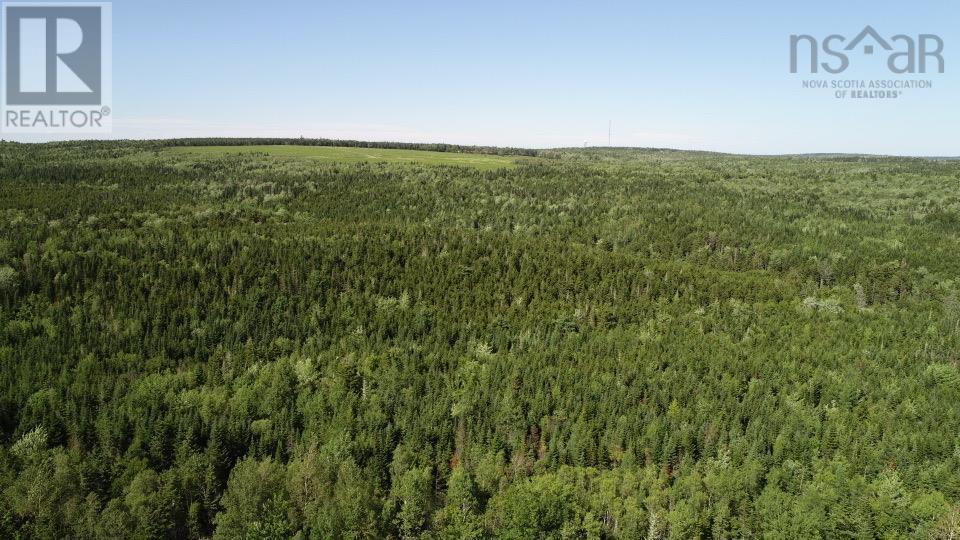 Lot 2 Wilson Road, Upper Rawdon, Nova Scotia  B0N 2N0 - Photo 4 - 202620020