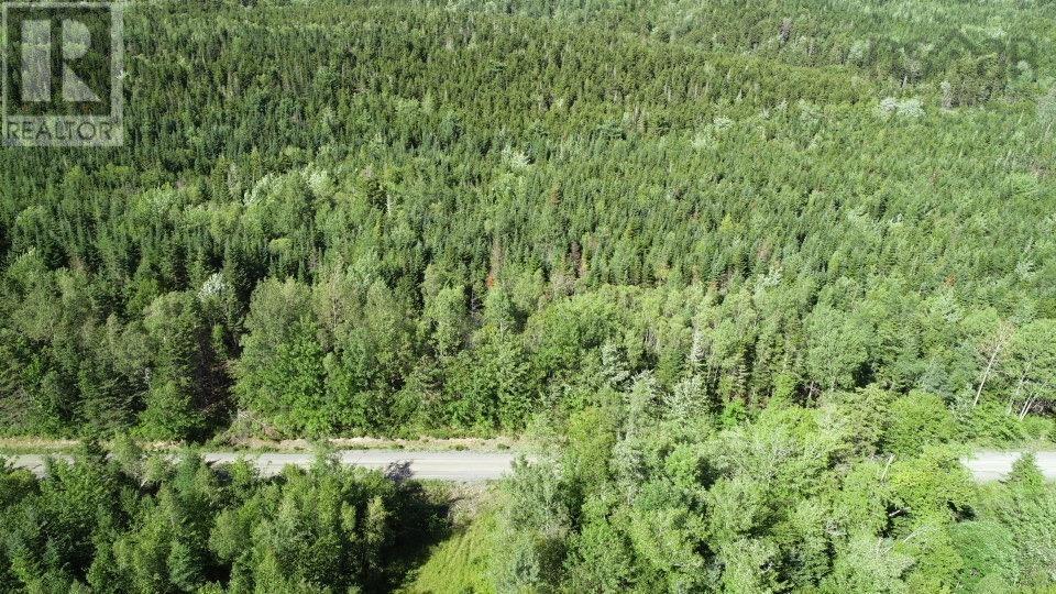 Lot 2 Wilson Road, Upper Rawdon, Nova Scotia  B0N 2N0 - Photo 7 - 202620020