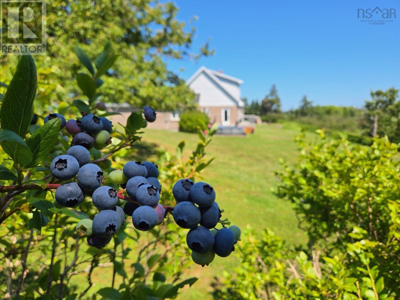 231 Overton Road, South Chegoggin, Nova Scotia  B5A 5G8 - Photo 48 - 202620359