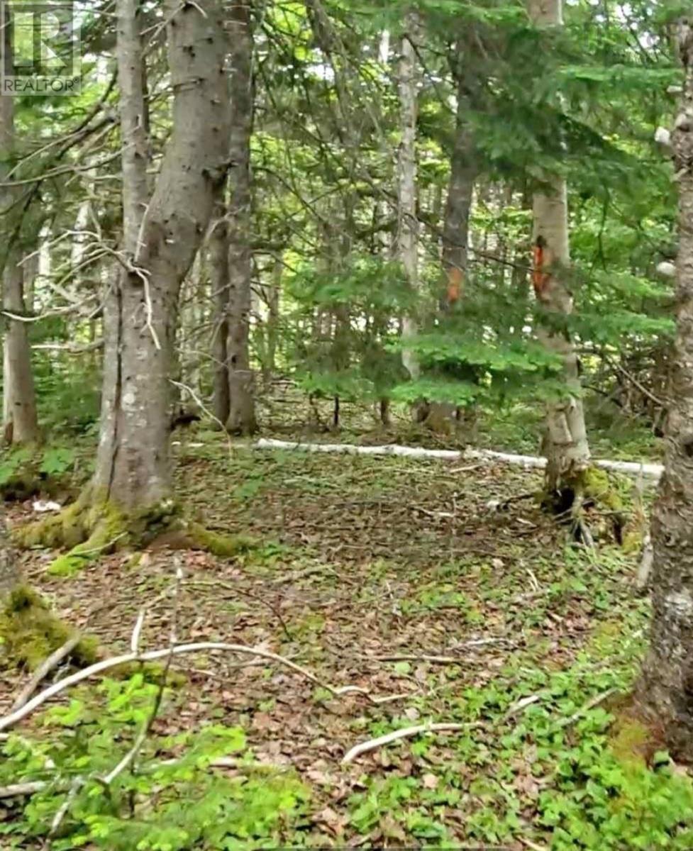 No # Coxheath Road, Blacketts Lake, Nova Scotia  B1L 1A5 - Photo 2 - 202620398