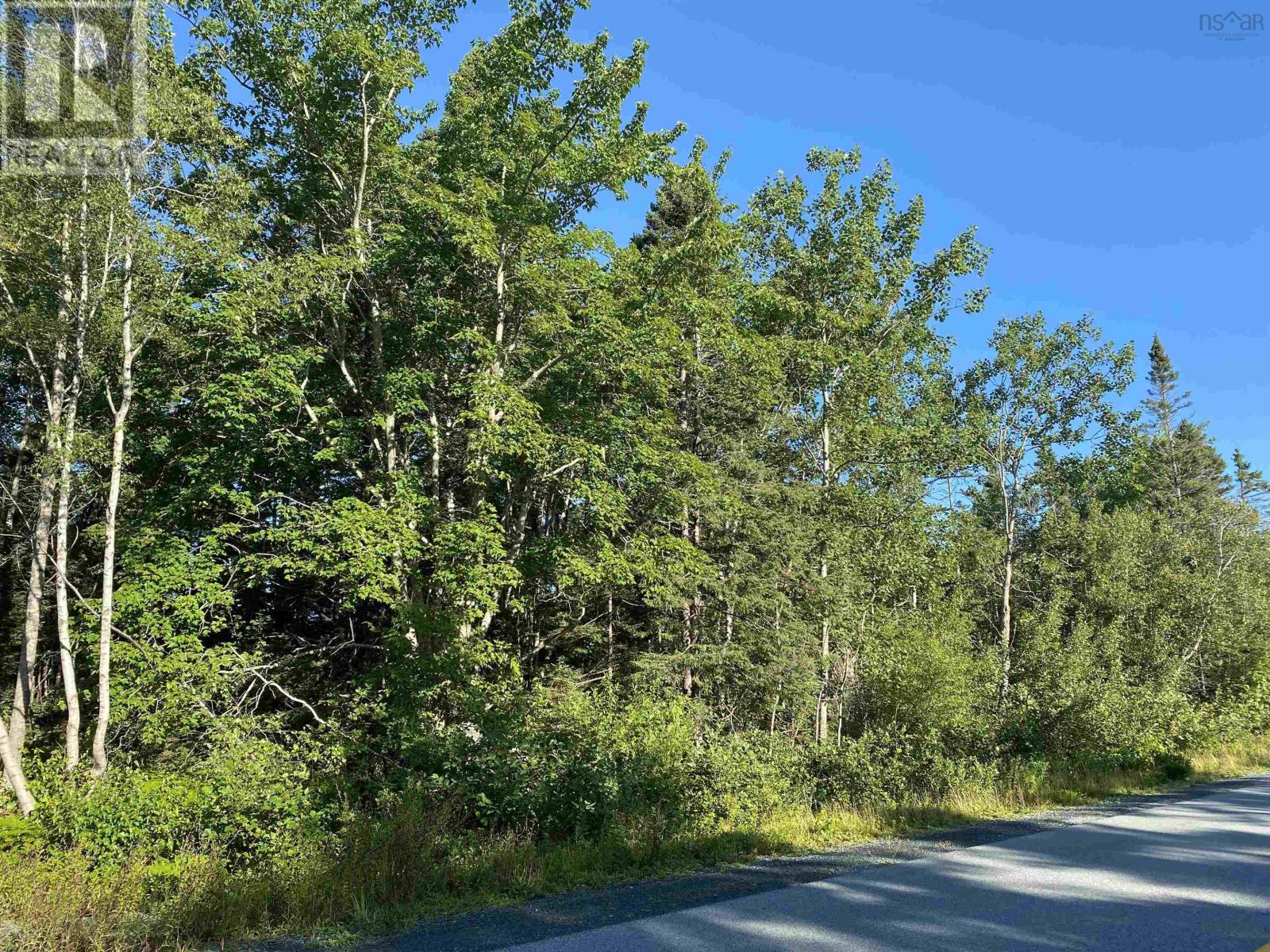 Lot 14 Eastern Shore Road, Port Medway, Nova Scotia  B0J 2T0 - Photo 4 - 202620451