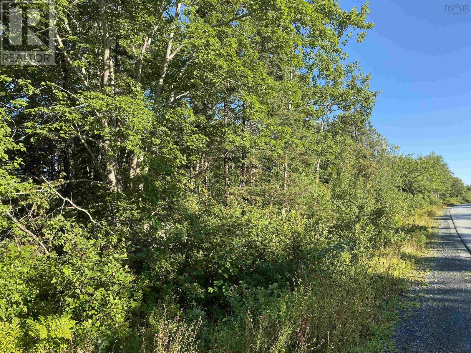 Lot 14 Eastern Shore Road, Port Medway, Nova Scotia  B0J 2T0 - Photo 5 - 202620451