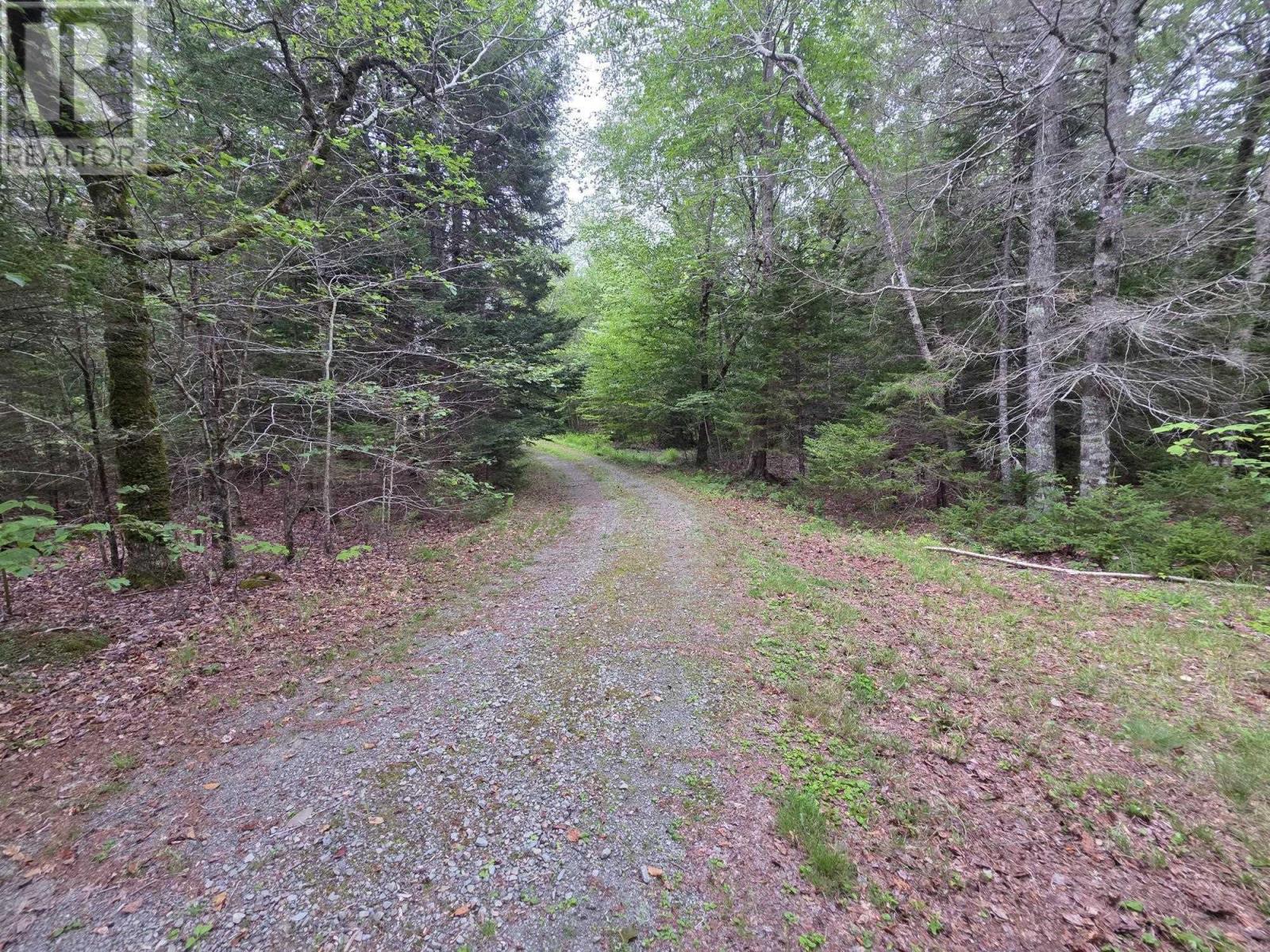 Lot 1 Old North Range Road, Ashmore, Nova Scotia  B0W 3T0 - Photo 13 - 202620760