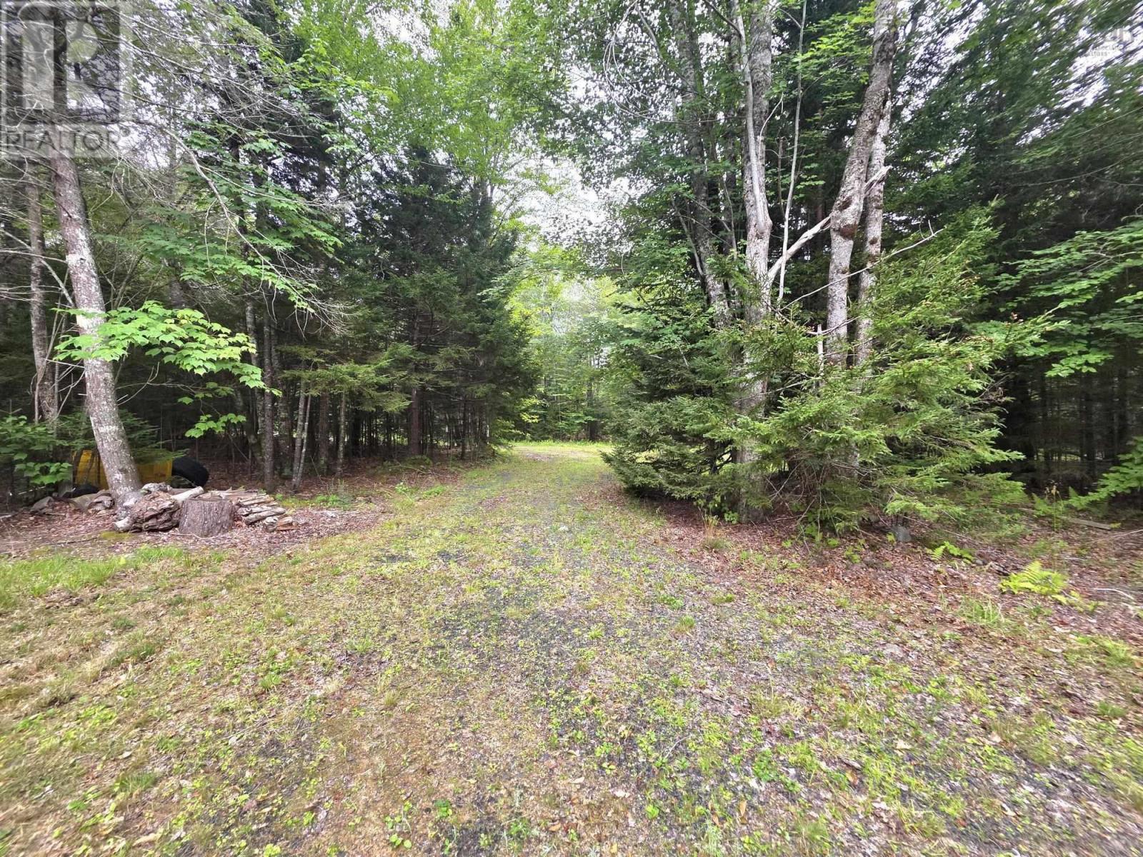 Lot 1 Old North Range Road, Ashmore, Nova Scotia  B0W 3T0 - Photo 25 - 202620760