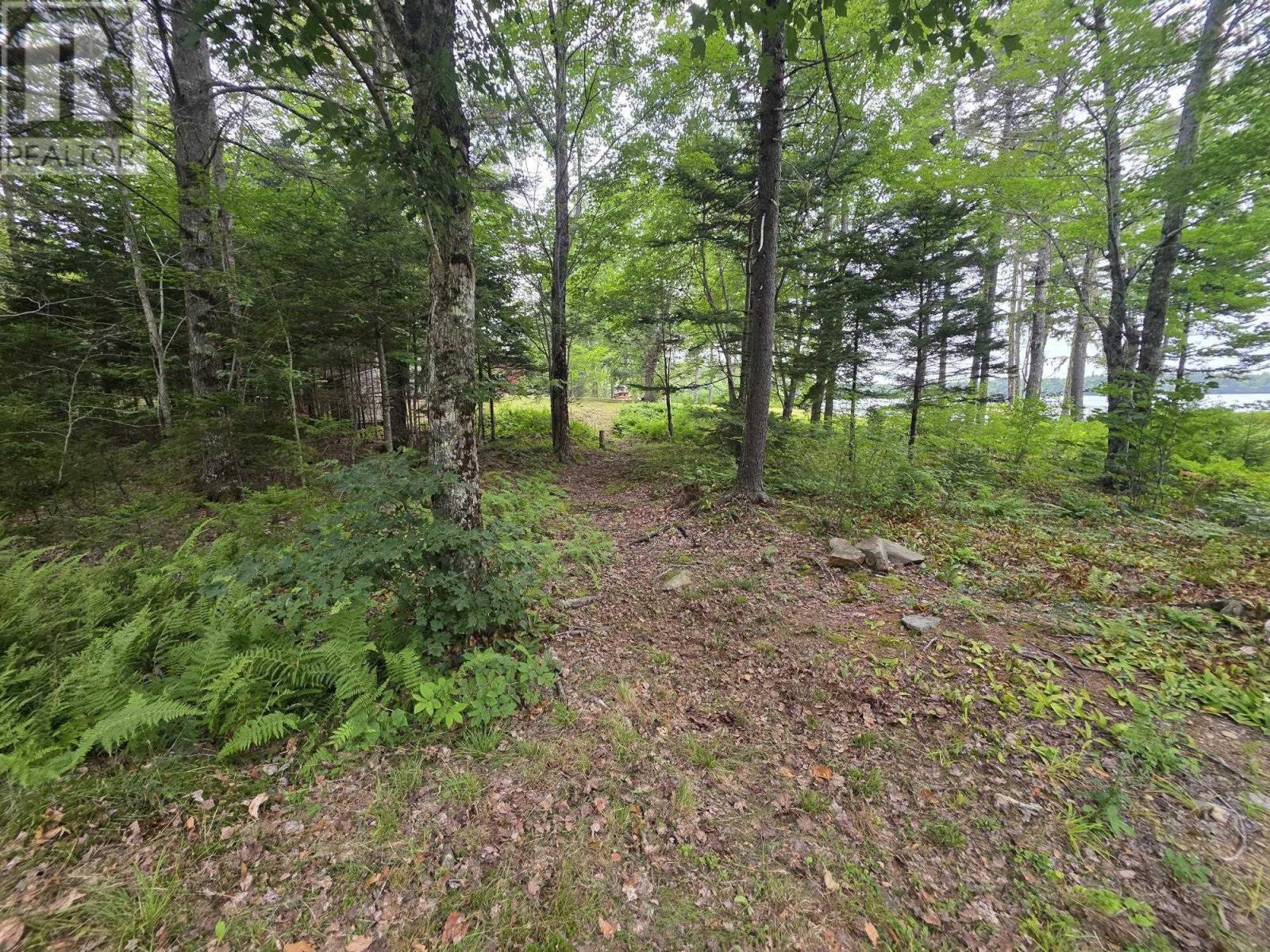 Lot 1 Old North Range Road, Ashmore, Nova Scotia  B0W 3T0 - Photo 27 - 202620760