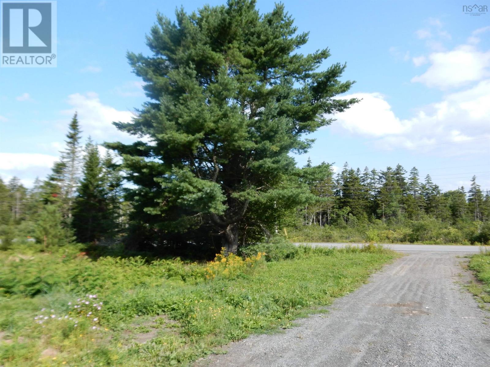 644 St Marys Road, Chaplin, Nova Scotia  B0N 2M0 - Photo 11 - 202620842