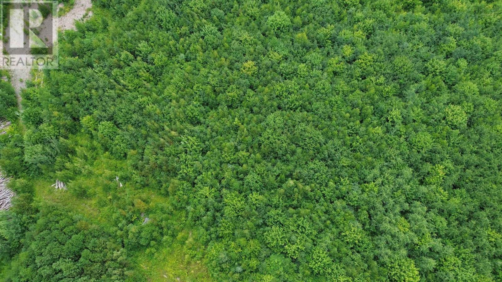 Lot 8 Peck Meadow Road, Greenfield, Nova Scotia  B4P 2R1 - Photo 4 - 202620849