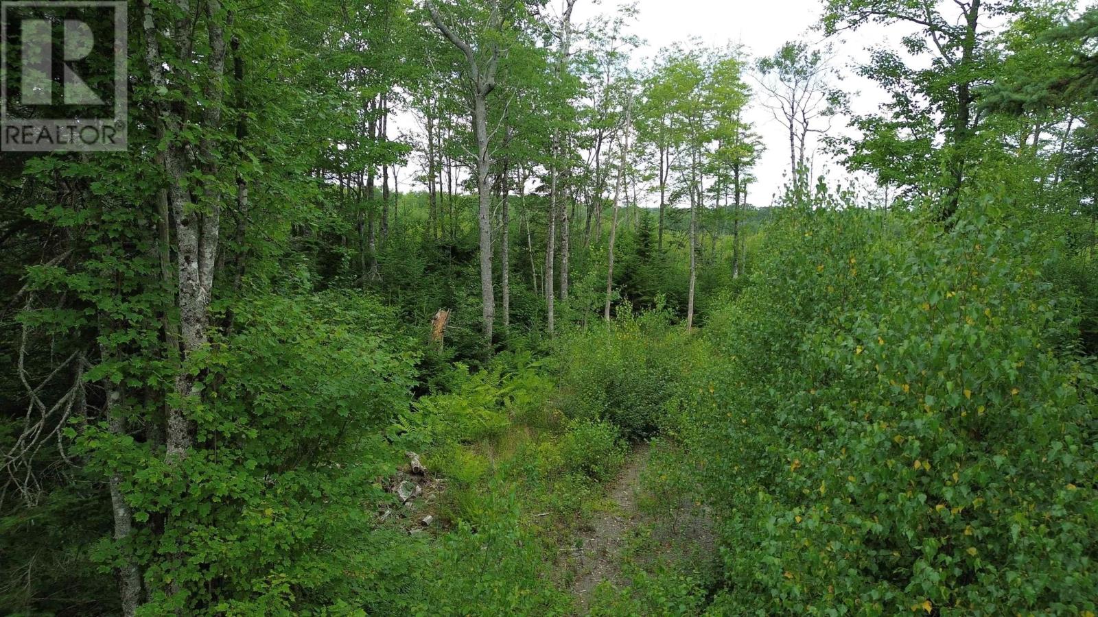 Lot 8 Peck Meadow Road, Greenfield, Nova Scotia  B4P 2R1 - Photo 8 - 202620849