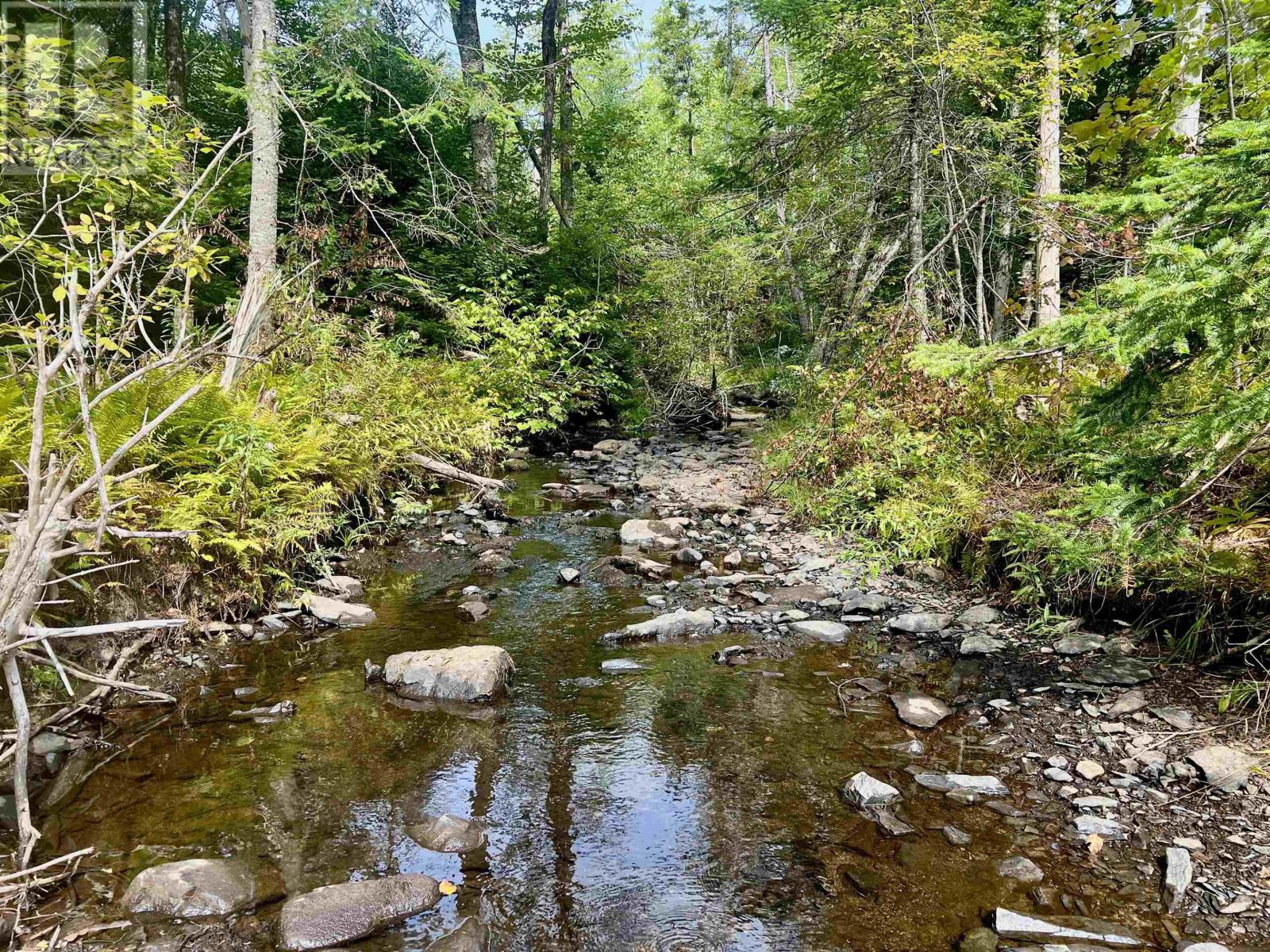 Lot 9 Greenfield Road, Greenfield, Nova Scotia  B0P 1X0 - Photo 8 - 202620850