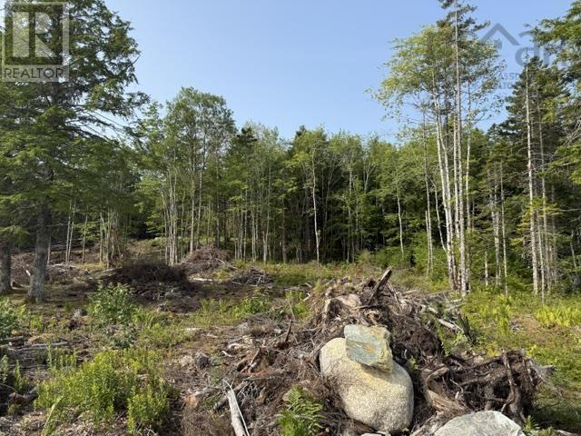 Lot 12 Island View Drive, Middlewood, Nova Scotia  B4V 6L3 - Photo 8 - 202620952