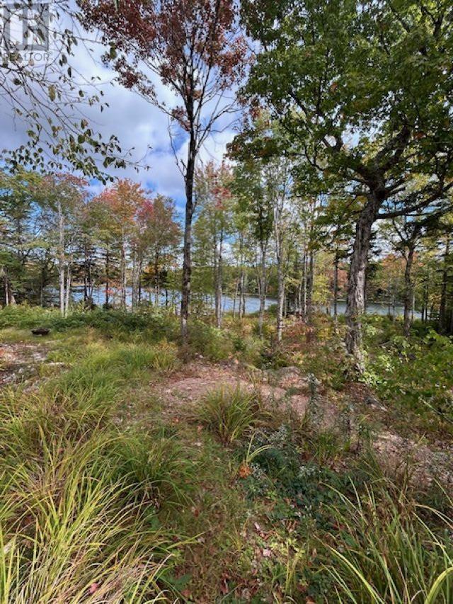 Lot 4 Lakeshore Drive, New Russell, Nova Scotia  B0J 2M0 - Photo 11 - 202621023