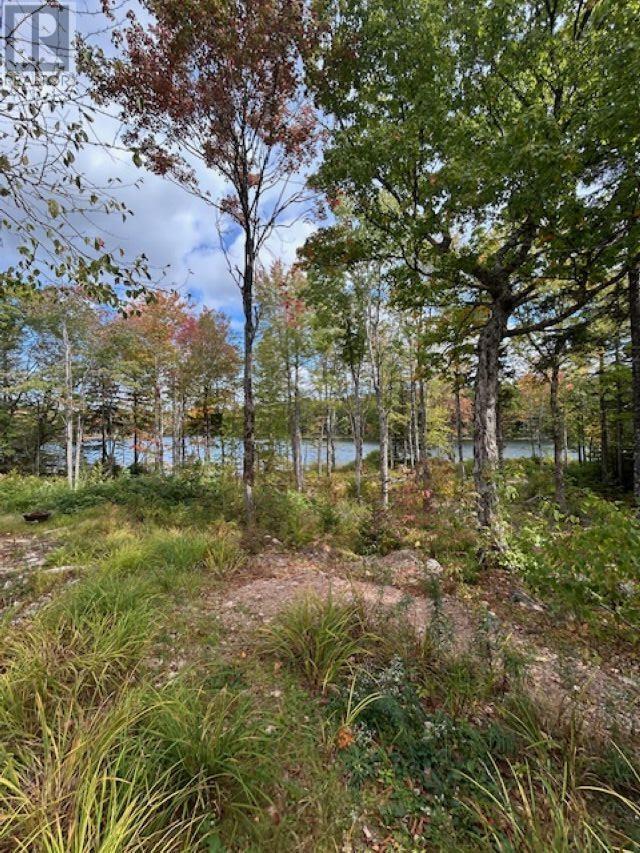 Lot 4 Lakeshore Drive, New Russell, Nova Scotia  B0J 2M0 - Photo 12 - 202621023
