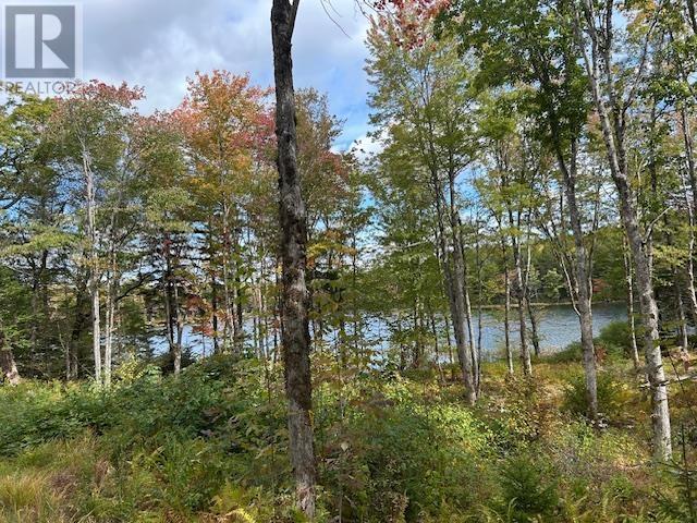 Lot 4 Lakeshore Drive, New Russell, Nova Scotia  B0J 2M0 - Photo 2 - 202621023