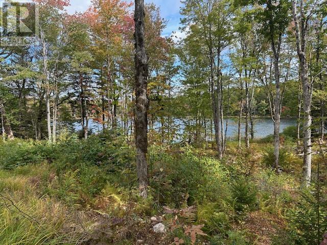 Lot 4 Lakeshore Drive, New Russell, Nova Scotia  B0J 2M0 - Photo 3 - 202621023