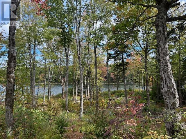 Lot 4 Lakeshore Drive, New Russell, Nova Scotia  B0J 2M0 - Photo 4 - 202621023