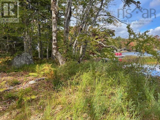 Lot 4 Lakeshore Drive, New Russell, Nova Scotia  B0J 2M0 - Photo 5 - 202621023