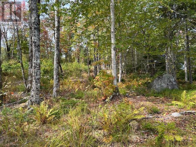 Lot 4 Lakeshore Drive, New Russell, Nova Scotia  B0J 2M0 - Photo 6 - 202621023