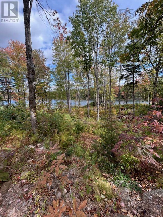 Lot 4 Lakeshore Drive, New Russell, Nova Scotia  B0J 2M0 - Photo 8 - 202621023