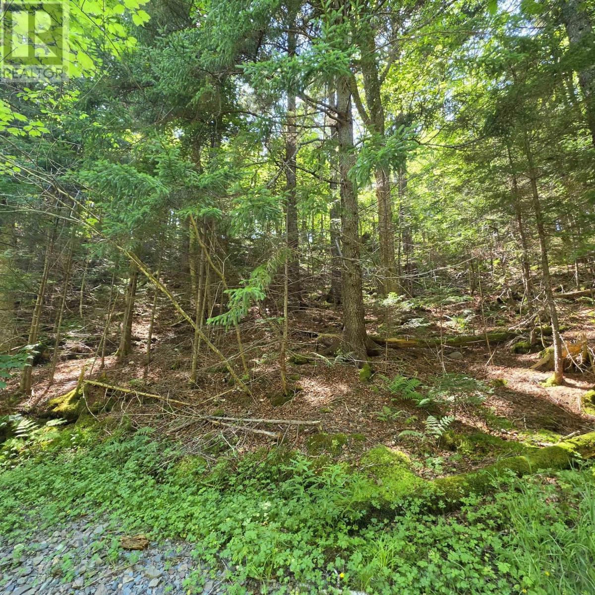 72 North Greville Road, Port Greville, Nova Scotia  B0M 1S0 - Photo 11 - 202621035