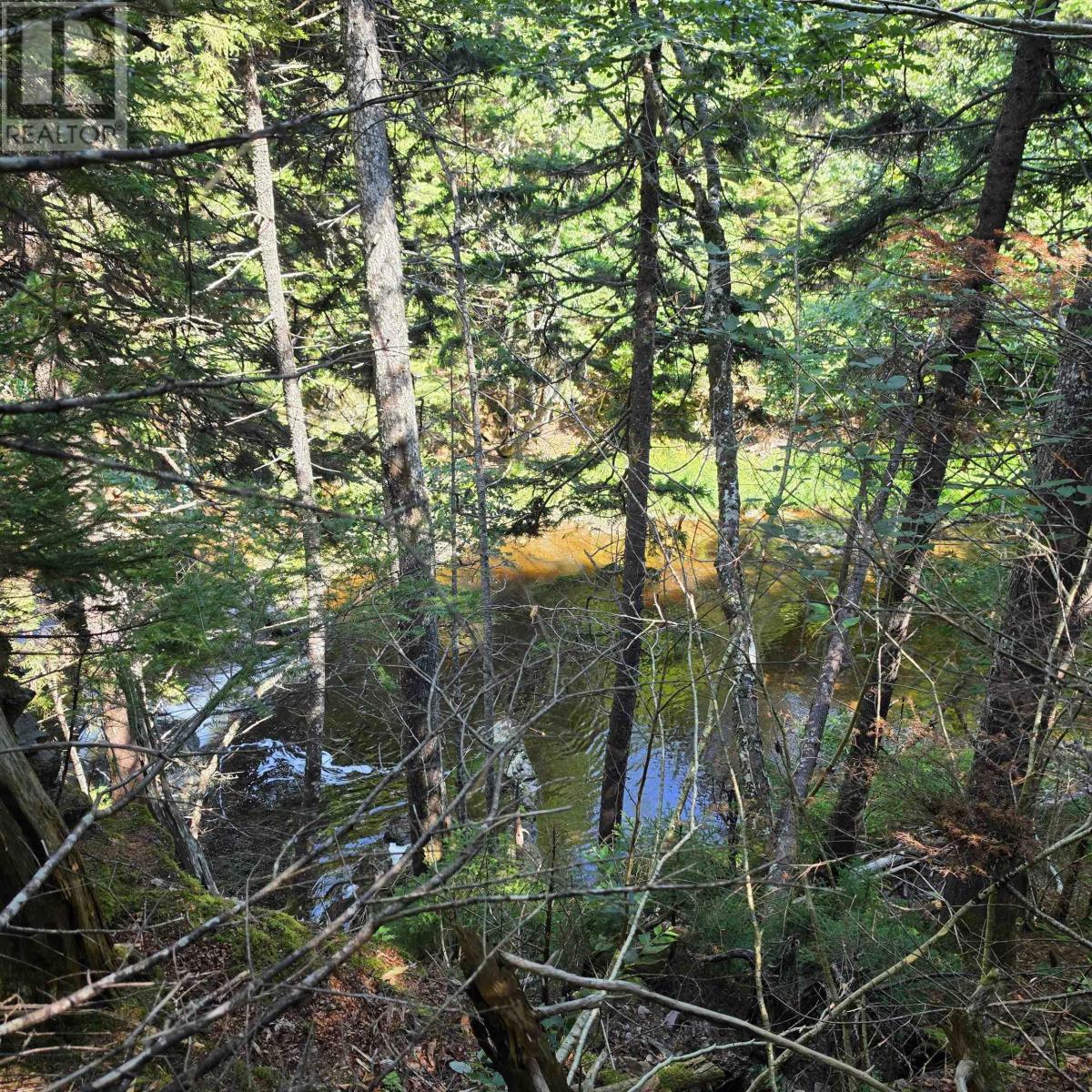 72 North Greville Road, Port Greville, Nova Scotia  B0M 1S0 - Photo 14 - 202621035