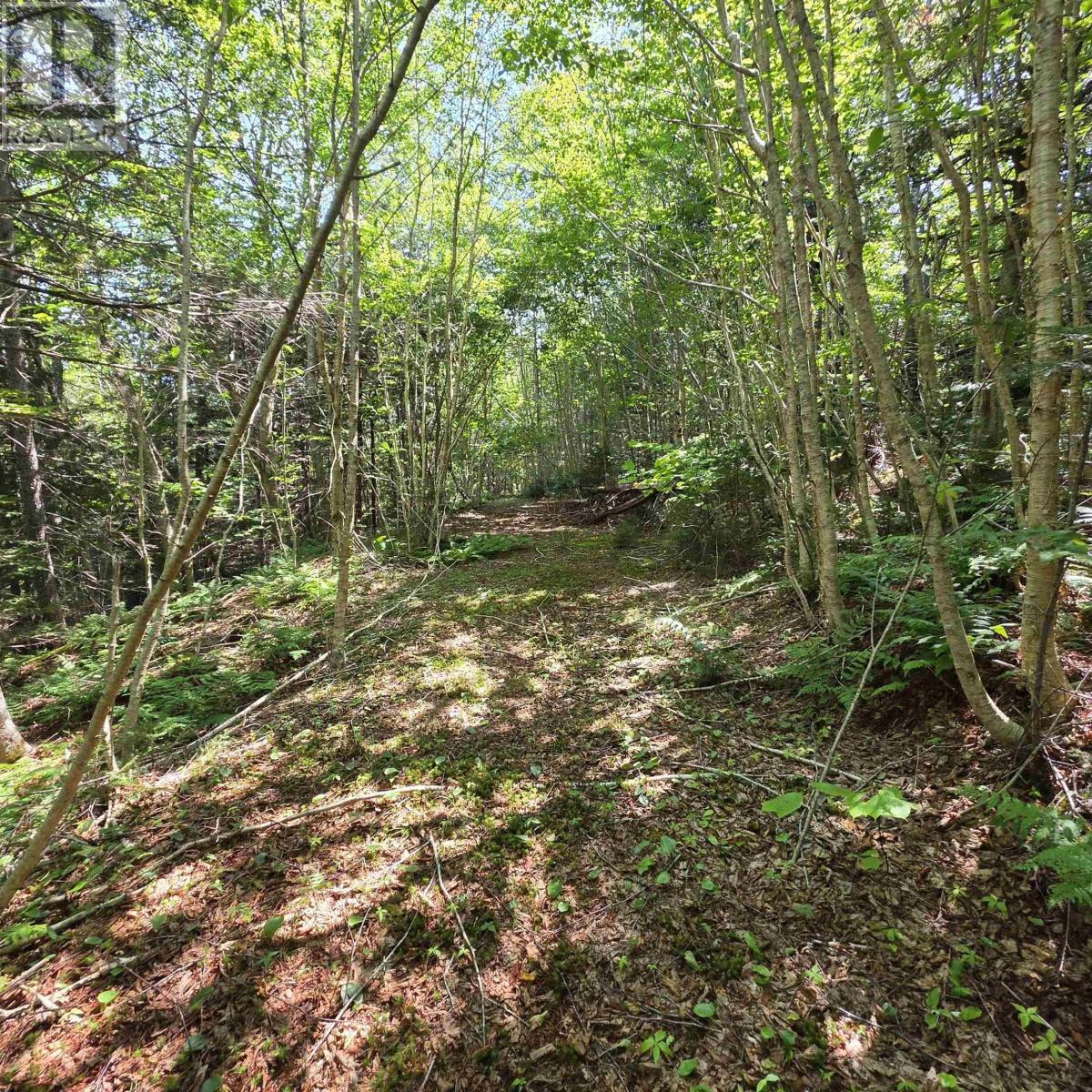 72 North Greville Road, Port Greville, Nova Scotia  B0M 1S0 - Photo 15 - 202621035