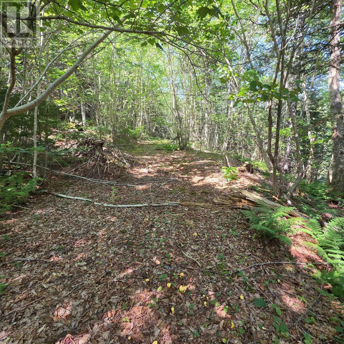 72 North Greville Road, Port Greville, Nova Scotia  B0M 1S0 - Photo 16 - 202621035