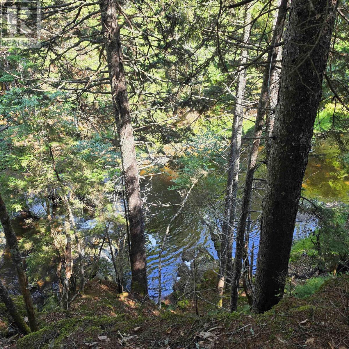 72 North Greville Road, Port Greville, Nova Scotia  B0M 1S0 - Photo 18 - 202621035