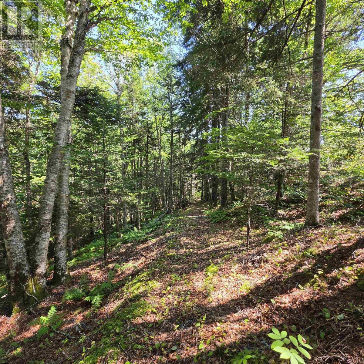 72 North Greville Road, Port Greville, Nova Scotia  B0M 1S0 - Photo 2 - 202621035