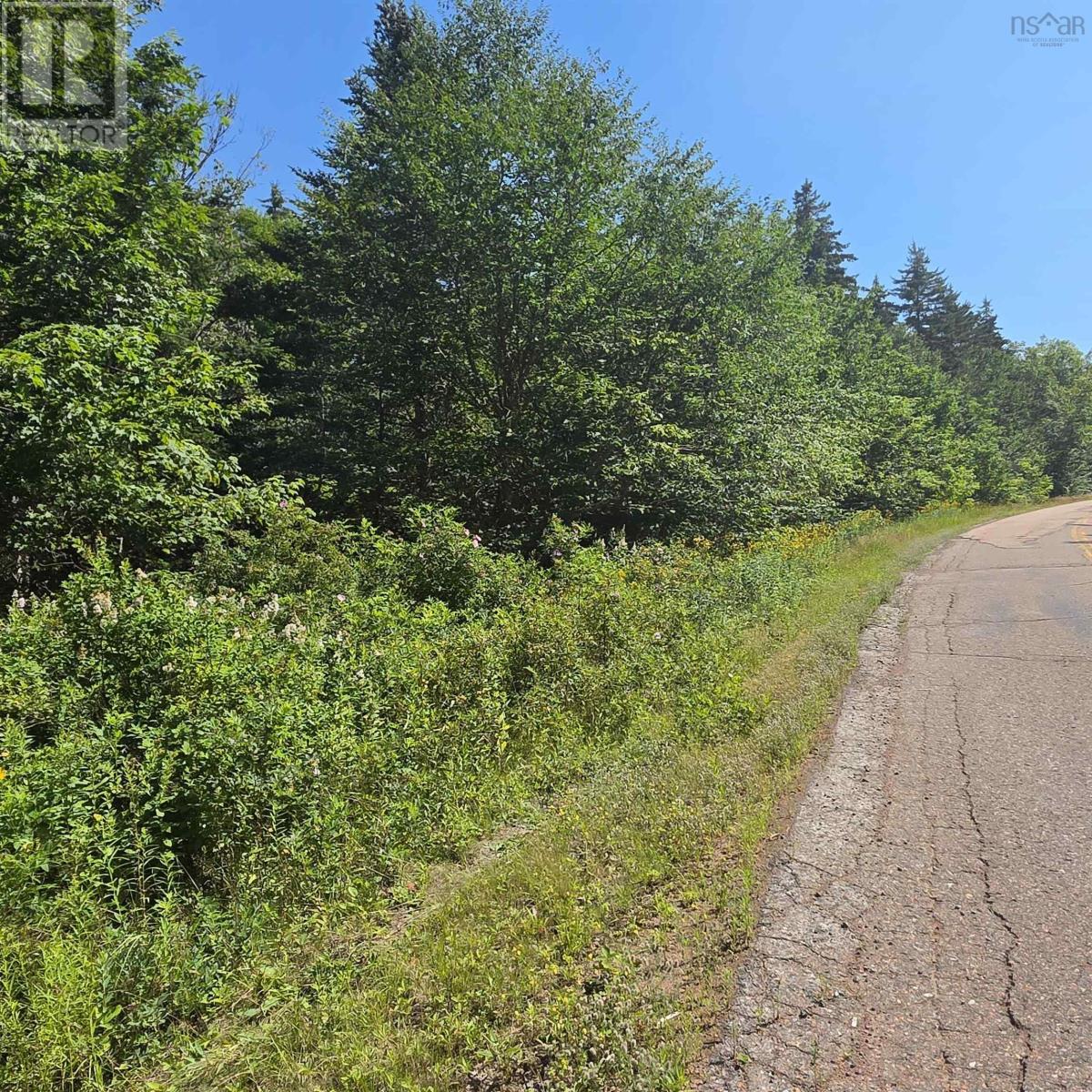 72 North Greville Road, Port Greville, Nova Scotia  B0M 1S0 - Photo 21 - 202621035