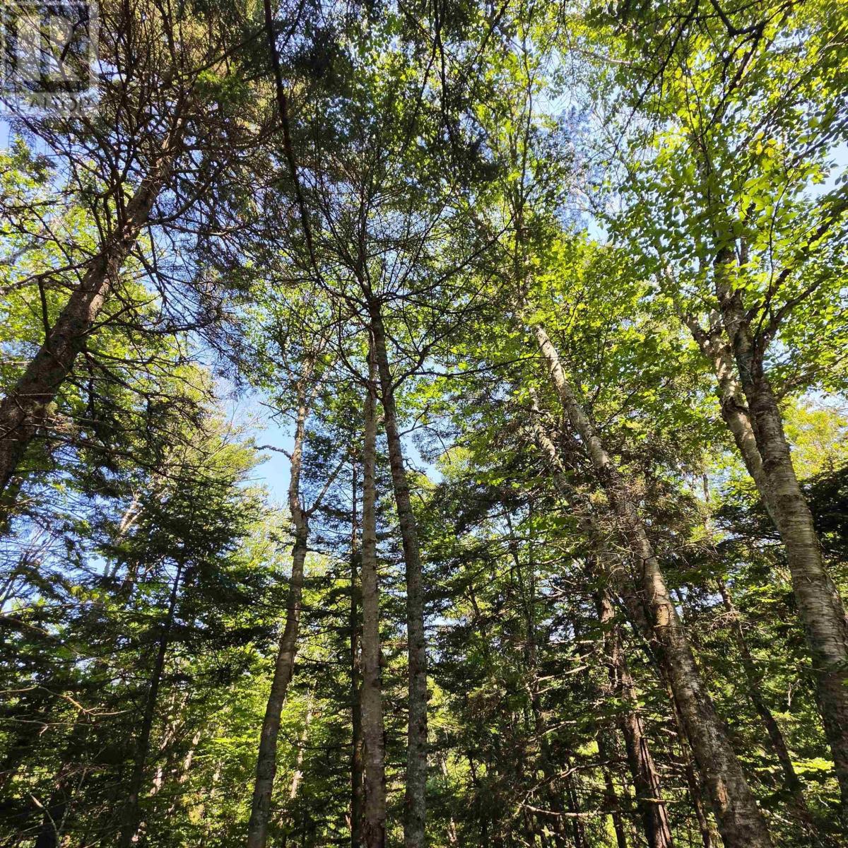 72 North Greville Road, Port Greville, Nova Scotia  B0M 1S0 - Photo 4 - 202621035
