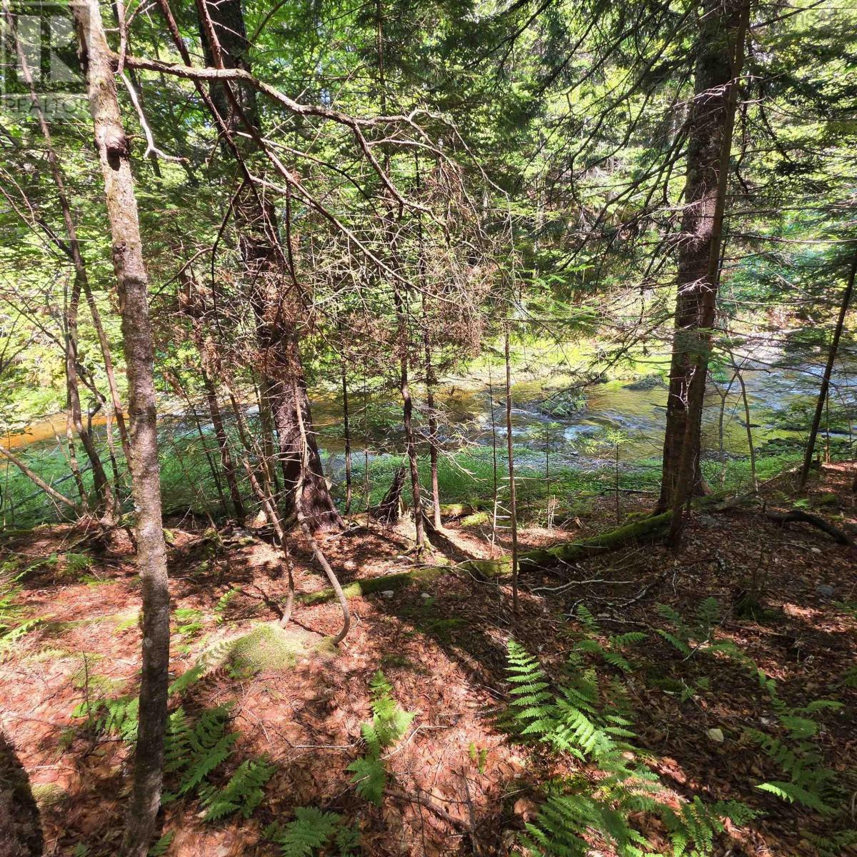 72 North Greville Road, Port Greville, Nova Scotia  B0M 1S0 - Photo 6 - 202621035