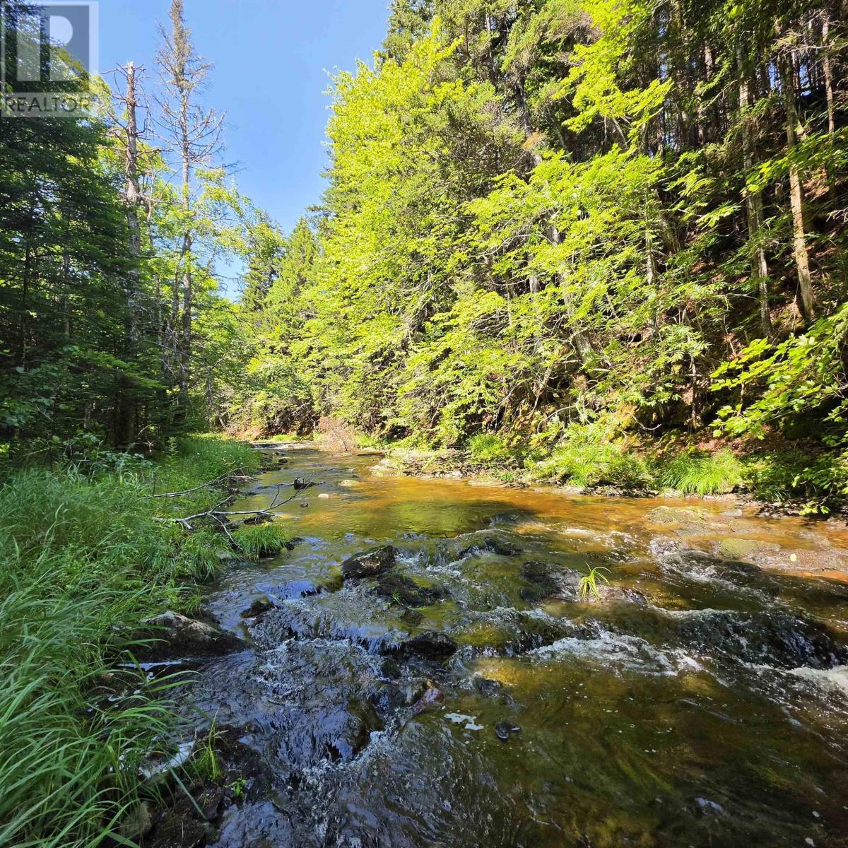 72 North Greville Road, Port Greville, Nova Scotia  B0M 1S0 - Photo 8 - 202621035