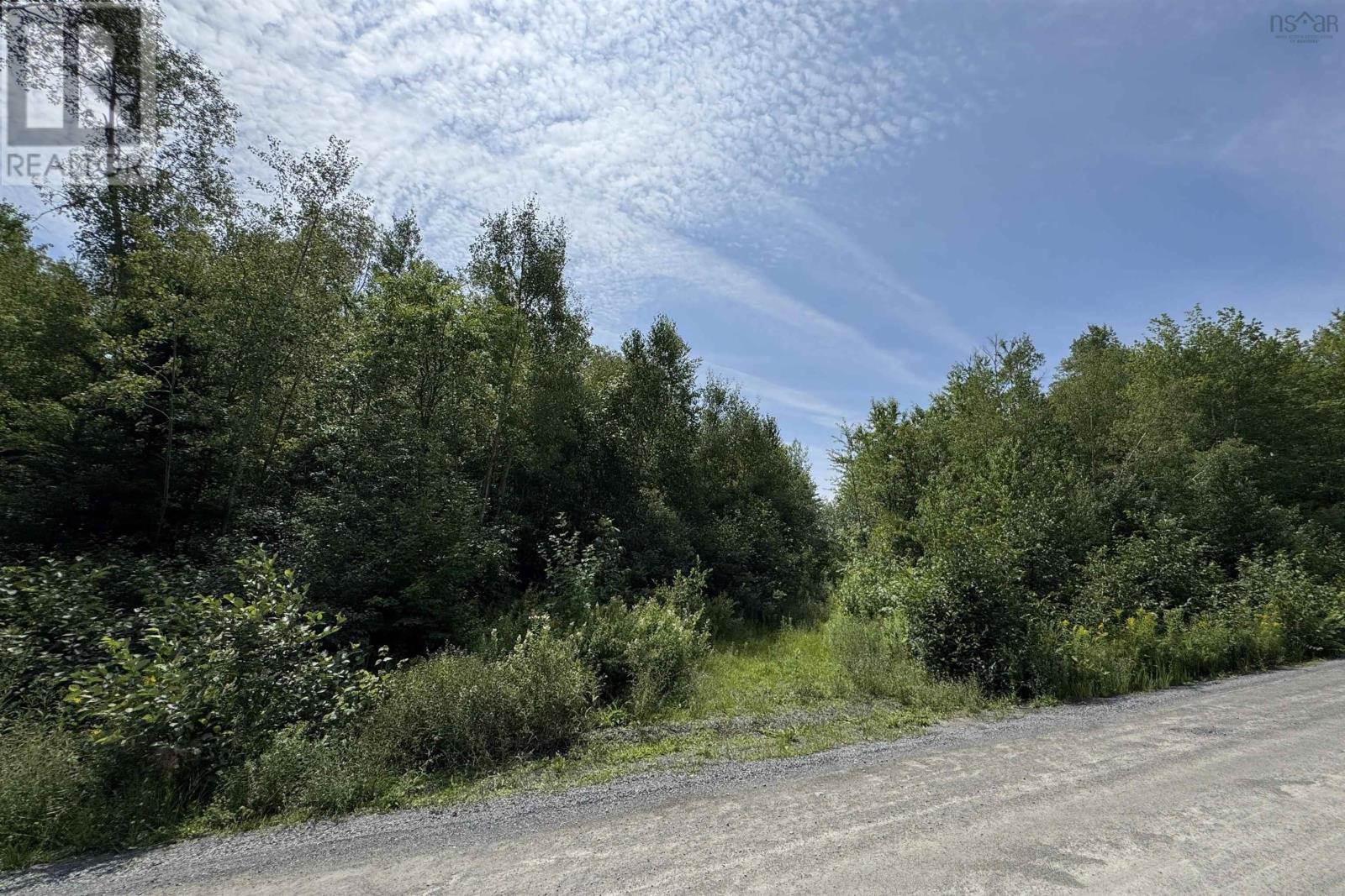 Lot Black River Road, Black River Lake, Nova Scotia  B4P 2R1 - Photo 3 - 202621555