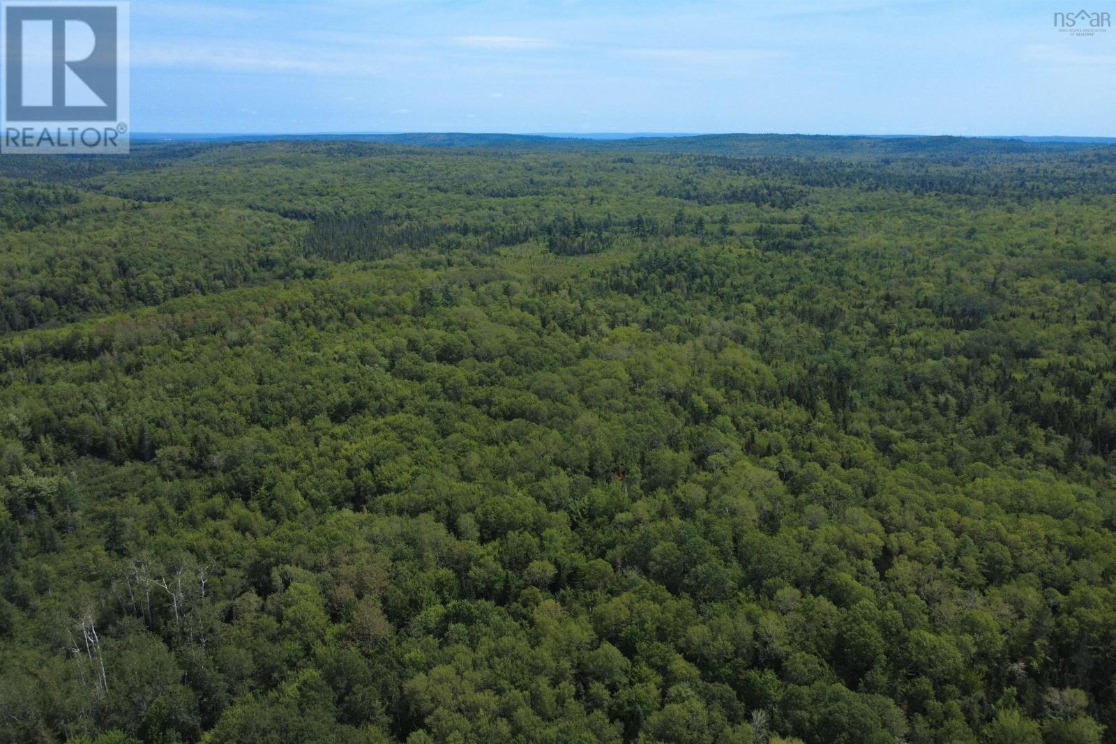 Lot Black River Road, Black River Lake, Nova Scotia  B4P 2R1 - Photo 5 - 202621555