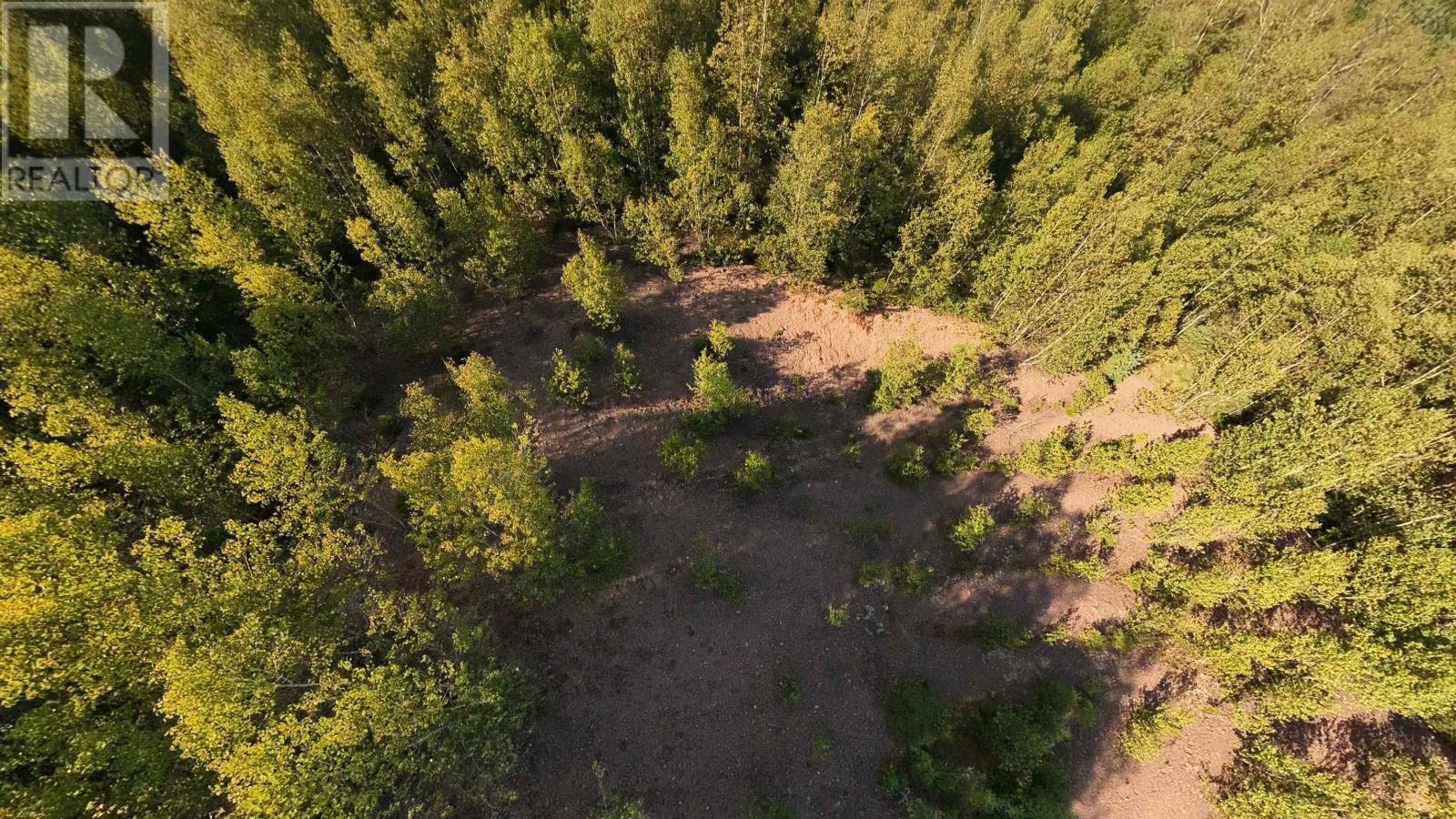 Lot Concord Road, Concord, Nova Scotia  B0K 2A0 - Photo 11 - 202621716