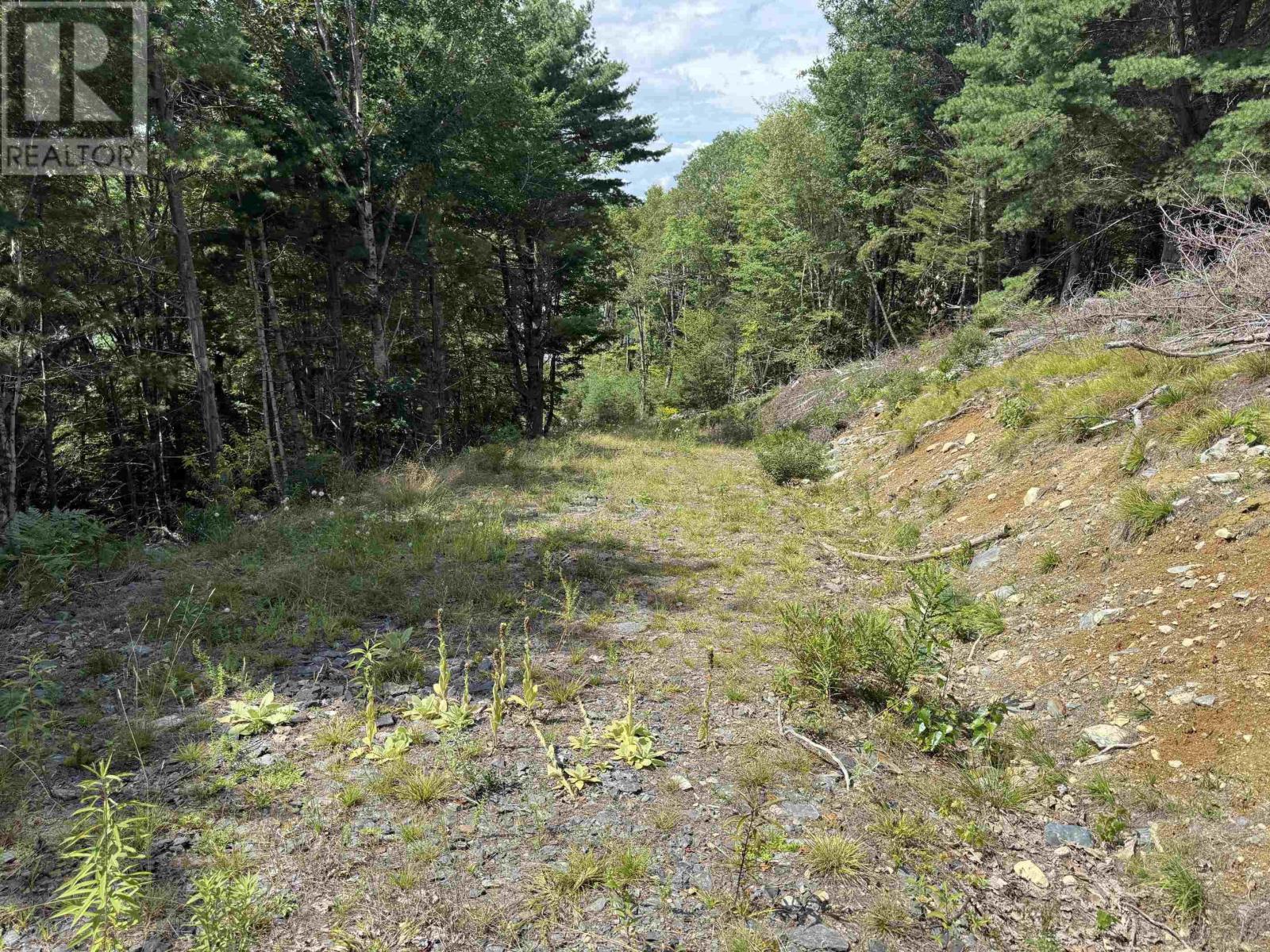 Lot 109 East Clifford Road, East Clifford, Nova Scotia  B4V 1Y7 - Photo 3 - 202621844