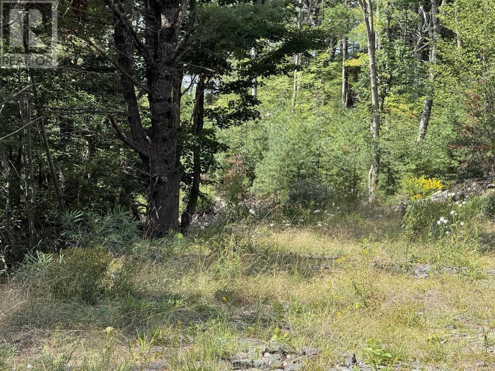 Lot 109 East Clifford Road, East Clifford, Nova Scotia  B4V 1Y7 - Photo 4 - 202621844