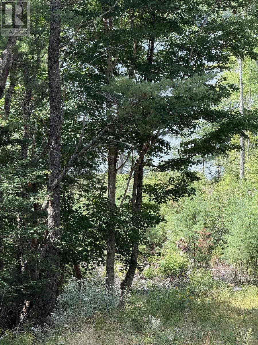 Lot 109 East Clifford Road, East Clifford, Nova Scotia  B4V 1Y7 - Photo 5 - 202621844