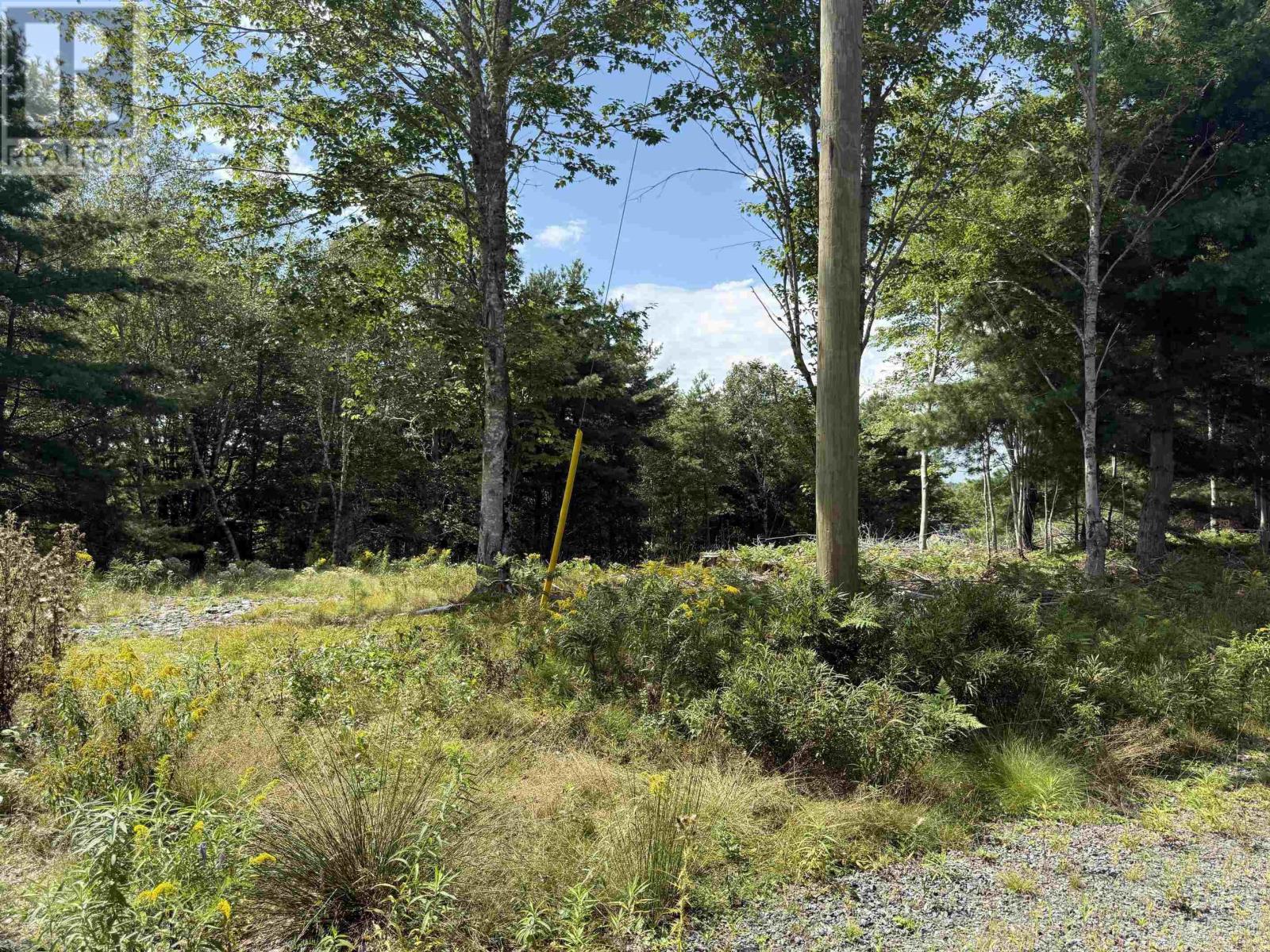 Lot 109 East Clifford Road, East Clifford, Nova Scotia  B4V 1Y7 - Photo 7 - 202621844