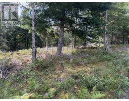 Lot 109 East Clifford Road, east clifford, Nova Scotia